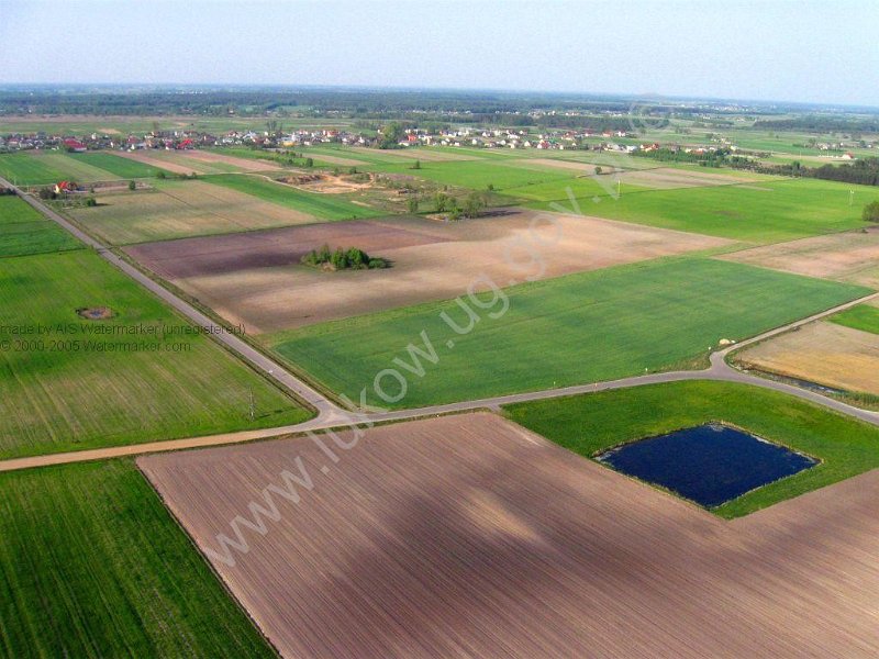 Lazy TSSE foto_3.jpg